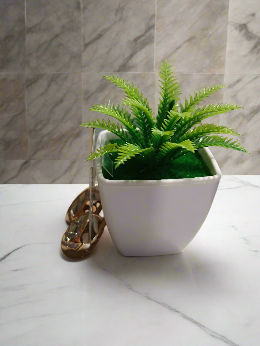 Argollas Lluvia de Luz